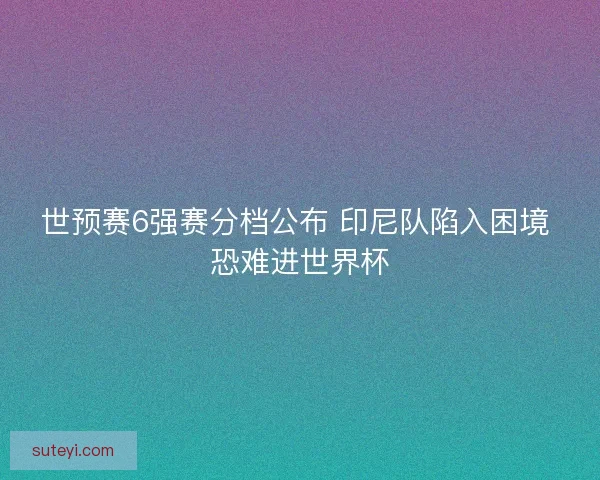世预赛6强赛分档公布 印尼队陷入困境 恐难进世界杯